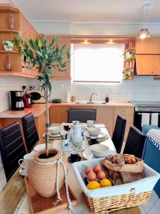 Kalamata Nestor Apartment-Near Historical Centre 외부 사진